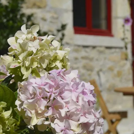 Stone House Near Padirac And Dordogne Valley بيت للعطل *
