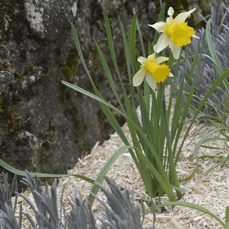 Stone House Near Padirac And Dordogne Valley * Gintrac