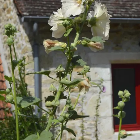 بيت للعطل Stone House Near Padirac And Dordogne Valley Gintrac